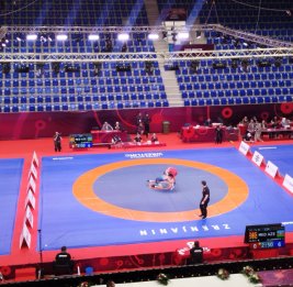 Чемпионат Европы: Еще 3 азербайджанских борца вышли в финал
