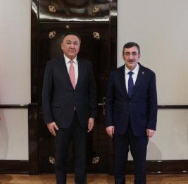 Вице-президент Турции - о &laquo;жизненной значимости&raquo; совместных действий стран ОТГ