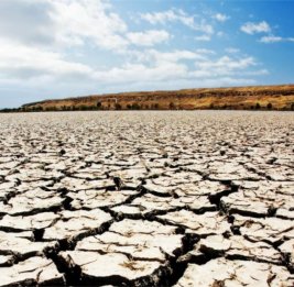 ООН предупреждает о масштабной деградации земель и росте химического загрязнения