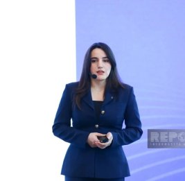 В Азербайджане создадут единый портал и реестр для защиты персональных данных