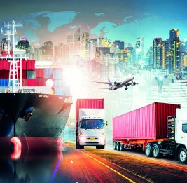 Между импортом и собственным производством