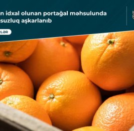 В импортируемых из Ирана апельсинах обнаружено несоответствие