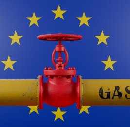 ЕС платит за ошибки