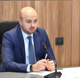 Спецпредставитель: Предлагаем проводить экспертизу зеленых насаждений при выделении земельных участков