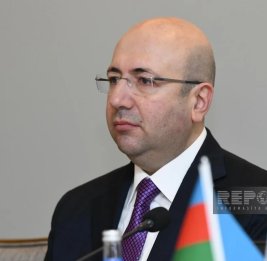 Анар Гулиев: Бакинский олимпийский стадион почти готов к проведению WUF13