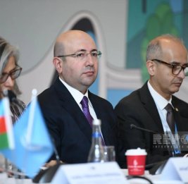 Анар Гулиев: На данный момент на WUF13 зарегистрировано около 15 тыс. участников