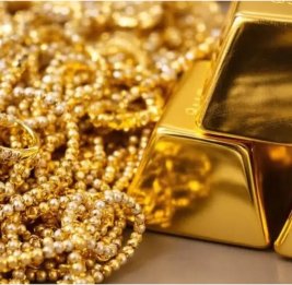 Семья за сутки перебрала 10 тонн мусора в поисках выброшенного золота