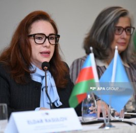 Бывший глава МИД: Организационные возможности Азербайджана будут способствовать успешному проведению WUF13