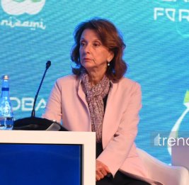 Мир может столкнуться с разделением глобальной технологической системы - Пеянович-Дуришич