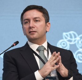 Ялчын Рафиев: Азербайджан поддержит Турцию в успешном проведении COP31