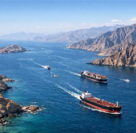 Трамп: Ряд стран направят военные корабли в Ормузский пролив