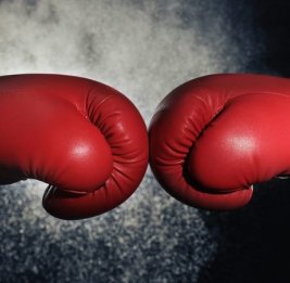 Двое наших соотечественников стали чемпионами Грузии