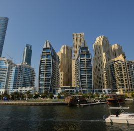 Генконсульство советует россиянам в Дубае снимать только котиков