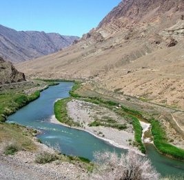 Природа под ударом