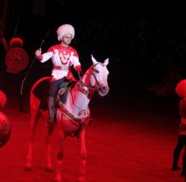 Артист-коневод Туркменистана: Мы мечтали о том, чтобы приехать в Азербайджан