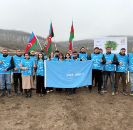 В Товузе и Гёранбое с участием волонтеров IDEA посажено более 2000 деревьев