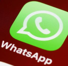 WhatsApp начал тестировать чаты без регистрации