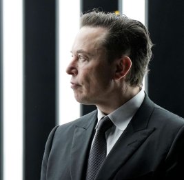 Маск рассказал о принципах иммиграционной политики США