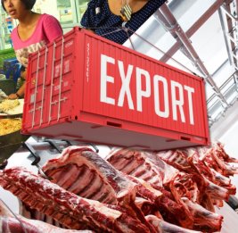 В импортной игле