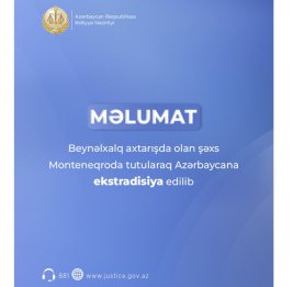 Объявленное в международный розыск лицо задержано в Монтенегро и экстрадировано в Азербайджан