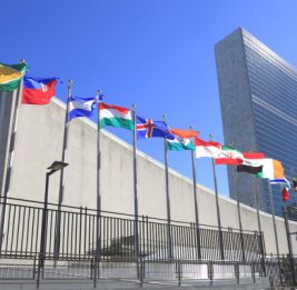 Главное противоречие ООН