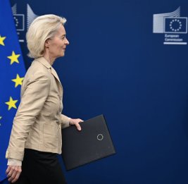 Курс на &laquo;быстрые решения&raquo;: Урсула фон дер Ляйен в центре критики в ЕС