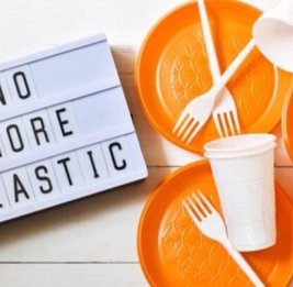 Пластик вне закона