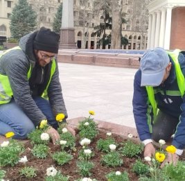 Весеннее преображение Гянджи