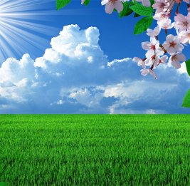 Какой будет погода в Баку в праздничный день 21 марта?