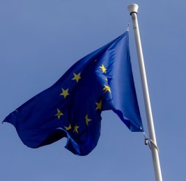 Итоги саммита ЕС свелись к "красивым заявлениям" из-за вето Орбана