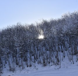 В некоторых местах страны наблюдалась дождливая погода, в Шахдаге выпал снег
