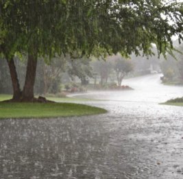В некоторых регионах ожидаются дожди и грозы - прогноз погоды на завтра