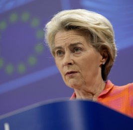 Главе ЕК предложили отапливать дом хворостом после заявления о запрете газа РФ