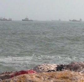 Инициативу по безопасности Ормузского пролива поддержали более 20 стран