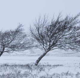 Завтра в Азербайджане ожидается снег