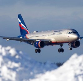 Рейс Москва-Баку вернулся из-за птицы