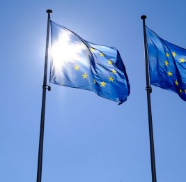 В Германии заявили о "логике мафии" в ЕС