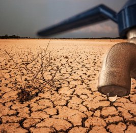 Земля поглощает рекордное количество тепла: обзор публикации Euractiv