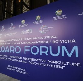 Инновации и традиции