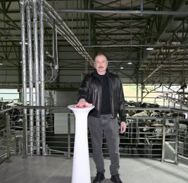 Знаковый ренессанс