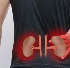 Почему в Азербайджане растет число пациентов с заболеваниями почек?