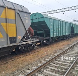 Из России в Армению транзитом через Азербайджан отправлено 350 тонн пшеницы