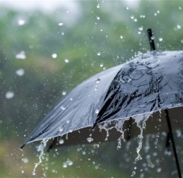 В ряде регионов Азербайджана наблюдаются дожди - ФАКТИЧЕСКАЯ ПОГОДА