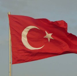 Турция убеждает арабские страны не вступать в войну с Ираном - СМИ