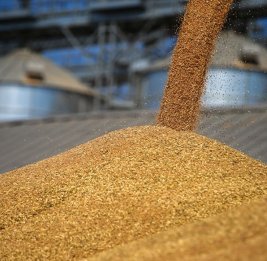 Запрет Казахстана для российского зерна