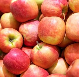 Азербайджан увеличил доходы от экспорта яблок почти на 30%