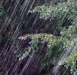 Ожидаются наводнения и подтопления - ПРЕДУПРЕЖДЕНИЕ