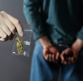 В Азербайджане за сутки выявлено 14 фактов, связанных с наркотиками