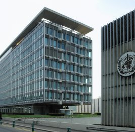 В ВОЗ заявили о полномасштабном кризисе в здравоохранении на Ближнем Востоке