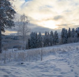 В России задержан преступник, скрывавшийся в тайге восемь лет